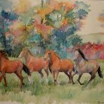 54.Wild horses
